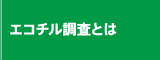 エコチル調査とは