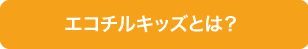 エコチルキッズとは